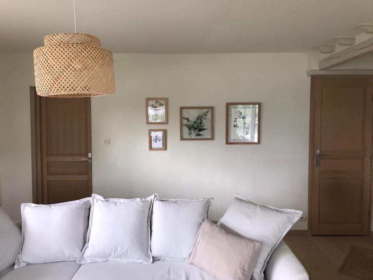 Ambiance Seine - Appartement 46M2 Terrasse - Hortensia Thomery Eksteriør billede
