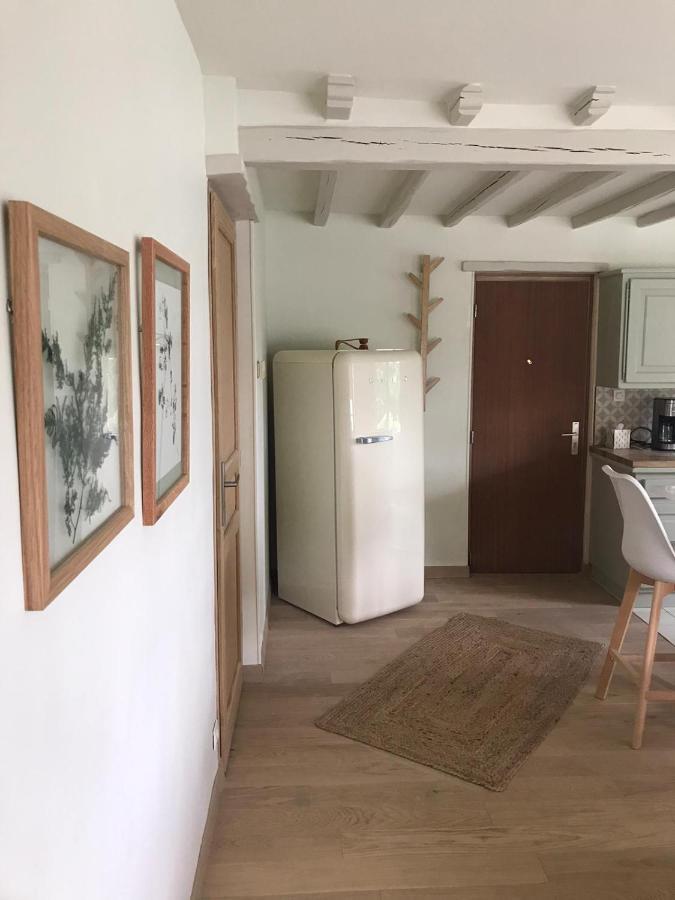 Ambiance Seine - Appartement 46M2 Terrasse - Hortensia Thomery Eksteriør billede